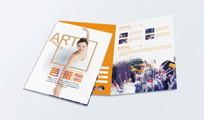 两折页设计娱乐718官网|中国有限公司-A4[规格210*297